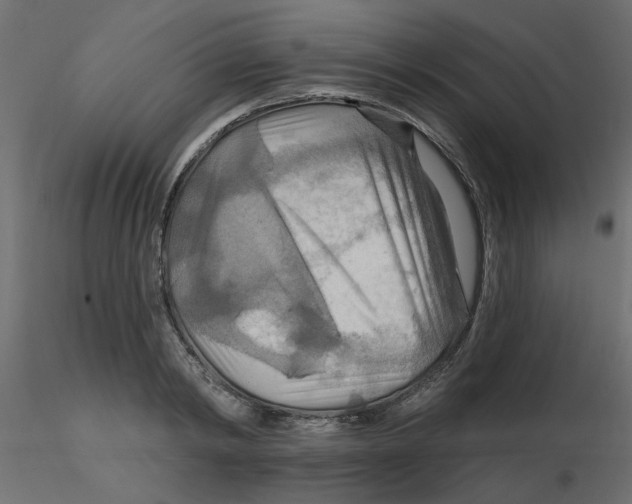 X0000116550798200912311910