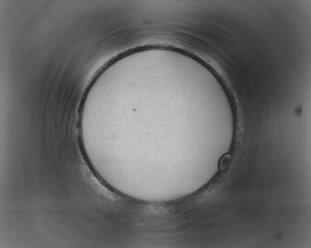 X0000116550799200912311910