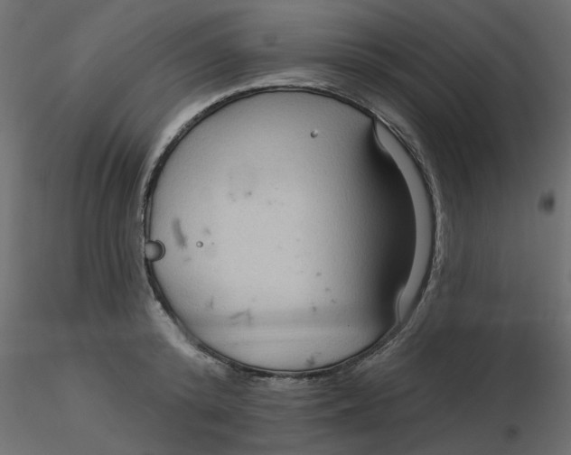 X0000116550800200912311910