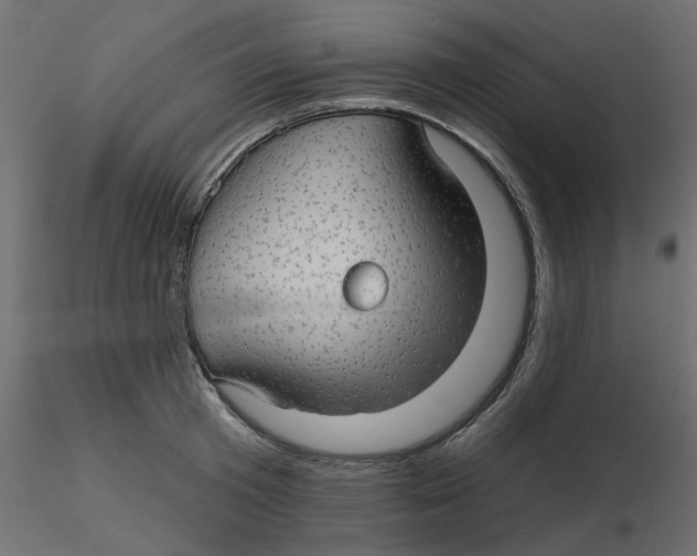 X0000116550801200912311910