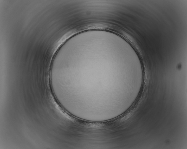 X0000116550802200912311910