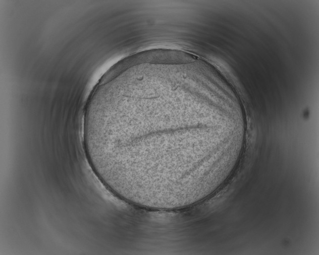 X0000116550804200912311910