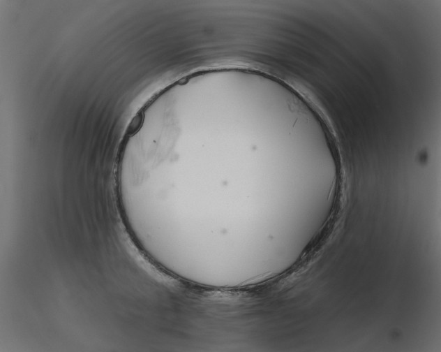 X0000116550805200912311910