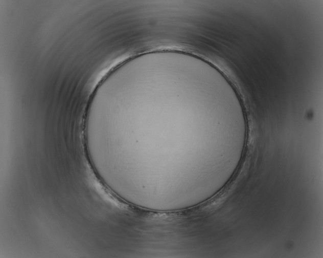 X0000116550806200912311910