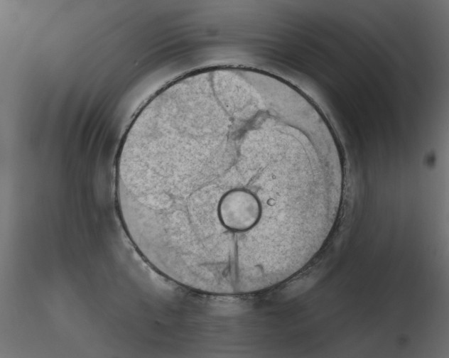 X0000116550807200912311910