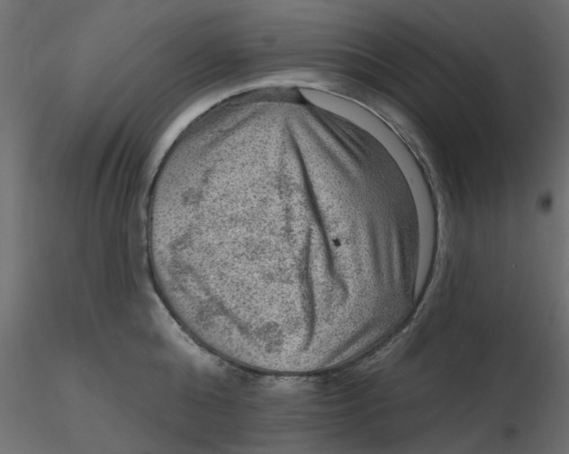 X0000116550808200912311910