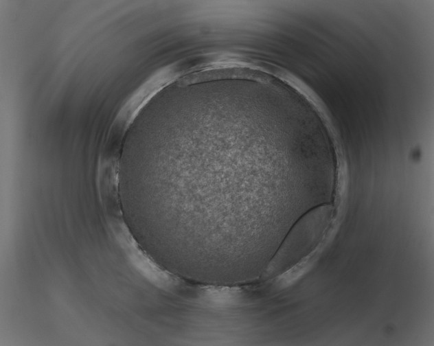 X0000116550809200912311910