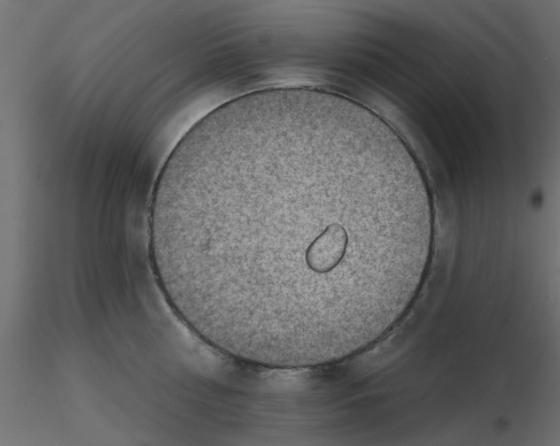 X0000116550810200912311910