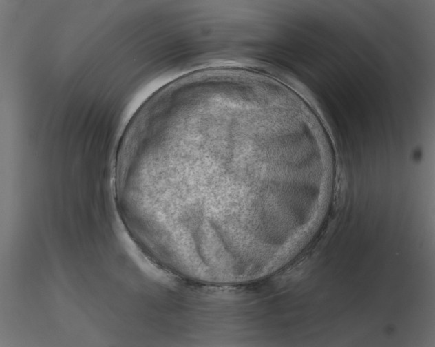 X0000116550811200912311910