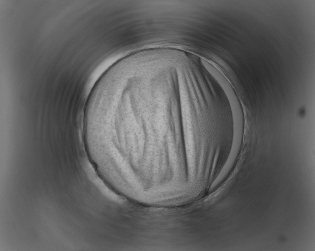 X0000116550812200912311910