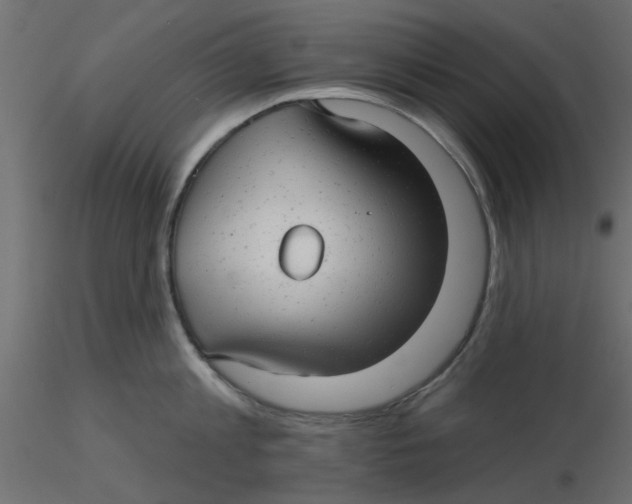 X0000116550813200912311910