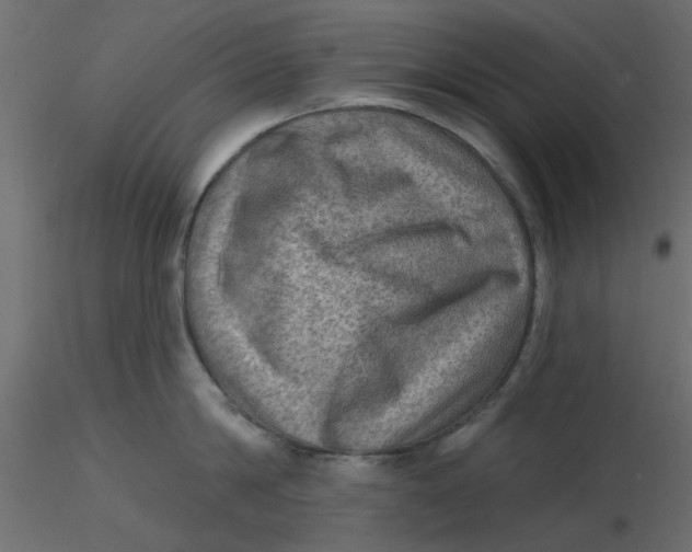 X0000116550814200912311910