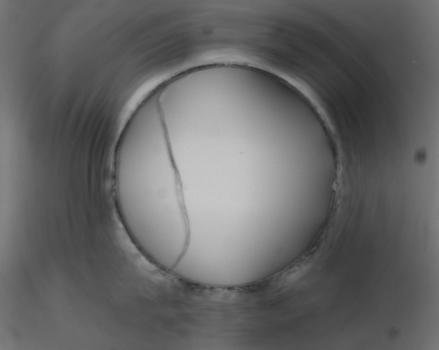 X0000116550815200912311910