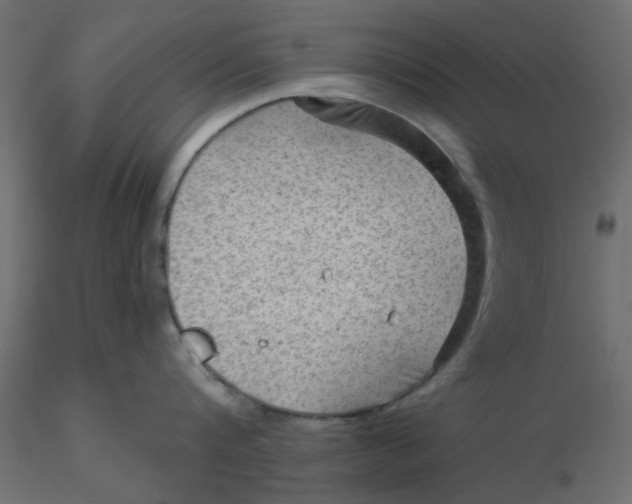 X0000116550816200912311910