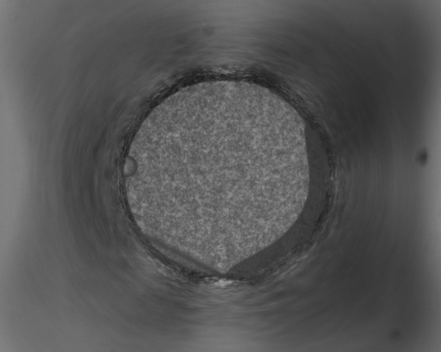 X0000116550817200912311909