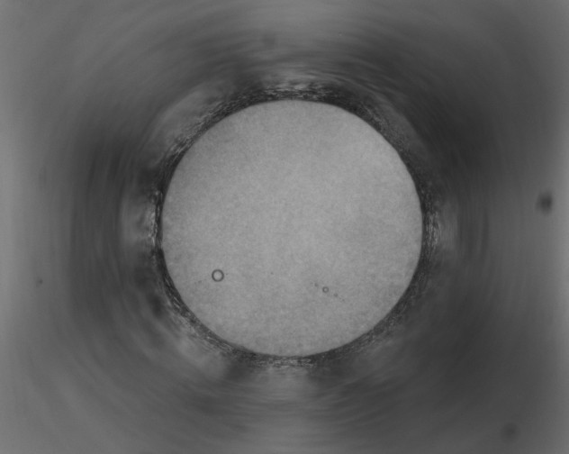 X0000116550820200912311909