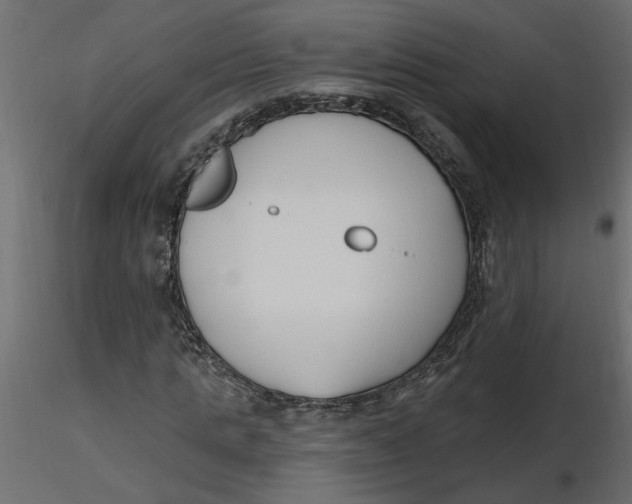 X0000116550821200912311909