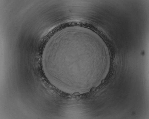 X0000116550822200912311909