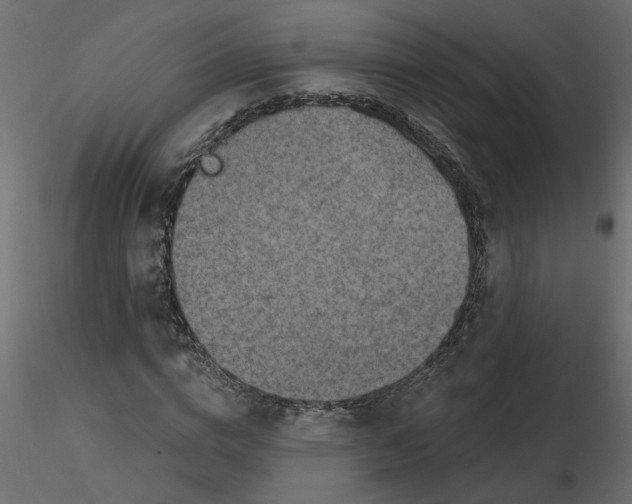 X0000116550824200912311910