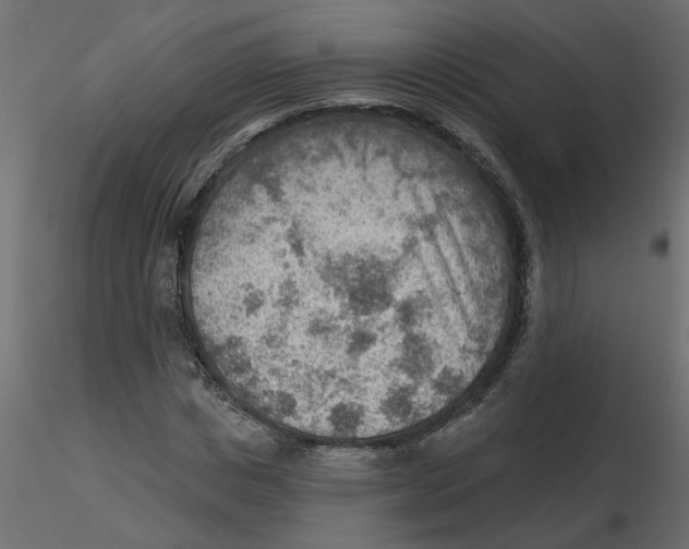 X0000116550825200912311910