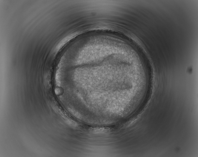 X0000116550826200912311910