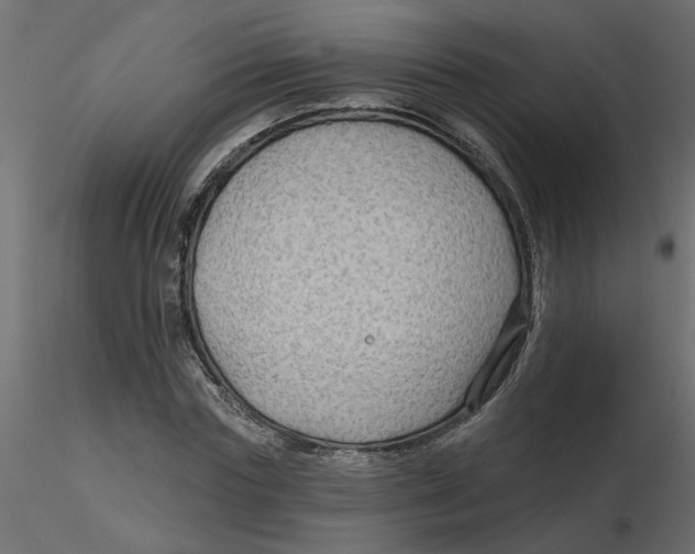 X0000116550827200912311910