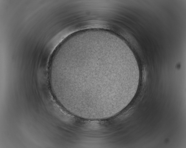 X0000116550828200912311910