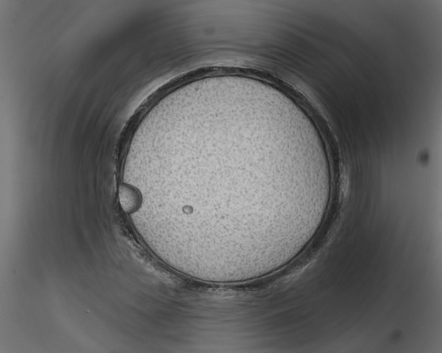 X0000116550829200912311910