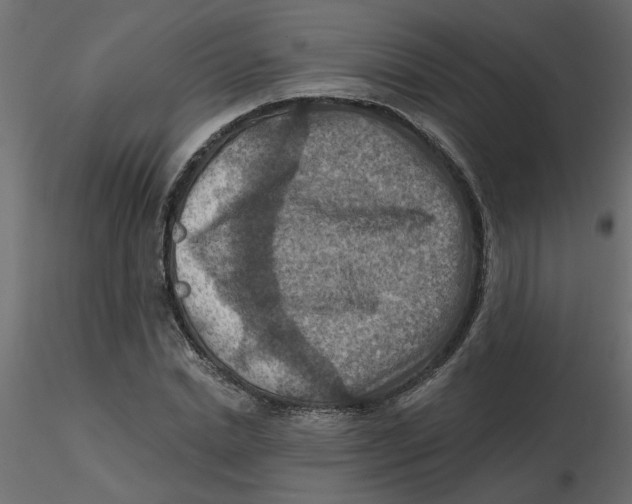 X0000116550830200912311910