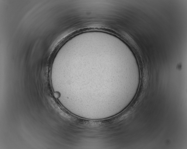 X0000116550831200912311910