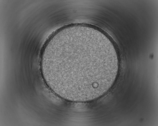 X0000116550832200912311910