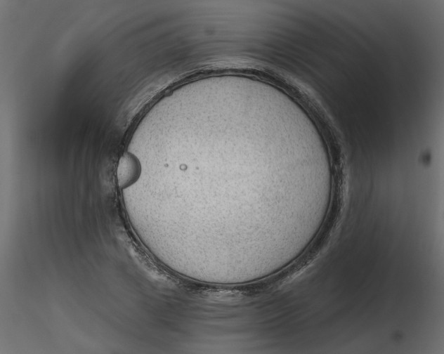 X0000116550833200912311910