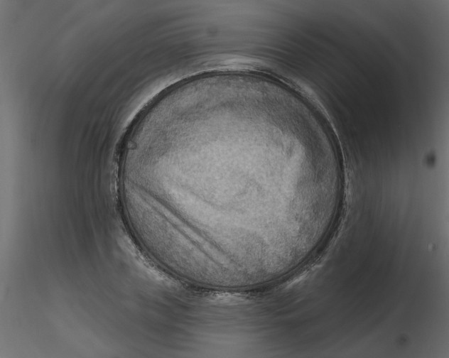 X0000116550835200912311910