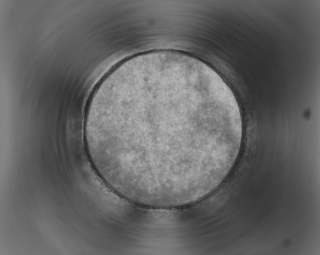 X0000116550836200912311910