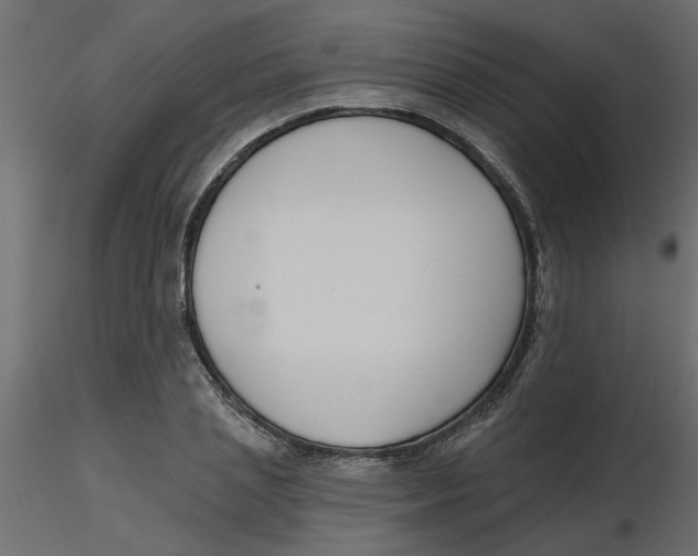 X0000116550837200912311910