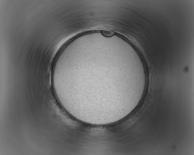 X0000116550838200912311910