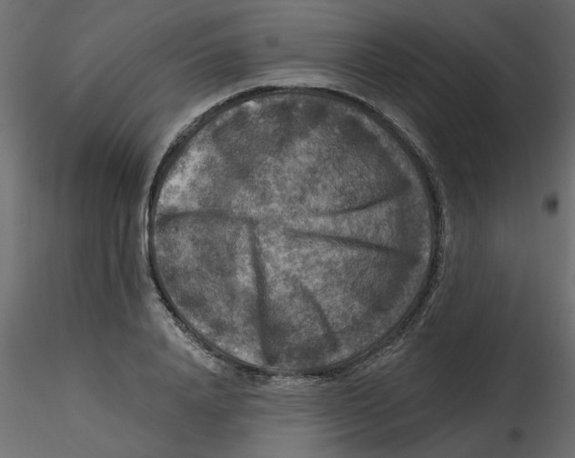 X0000116550840200912311910