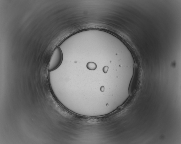 X0000116550841200912311910