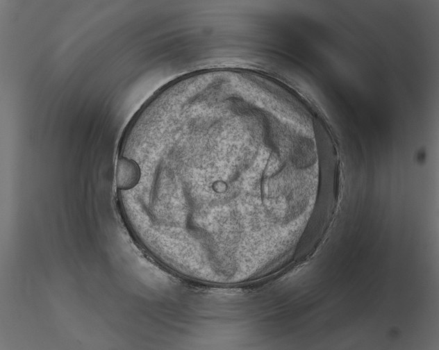 X0000116550844200912311910