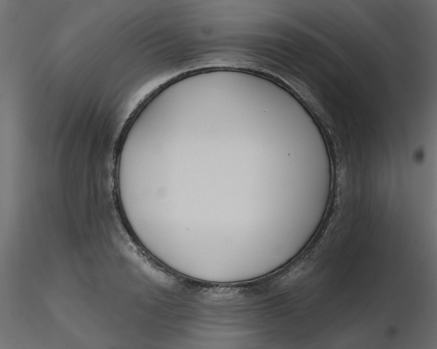 X0000116550846200912311910