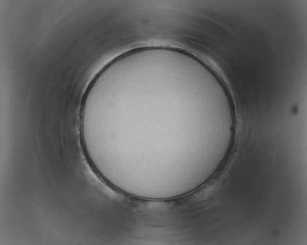 X0000116550847200912311910