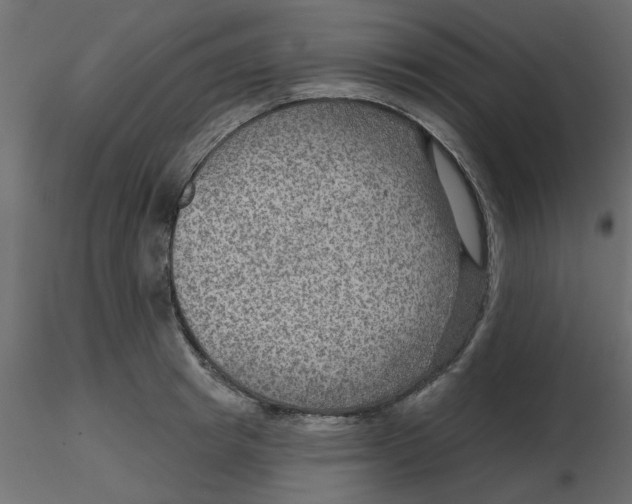 X0000116550849200912311910