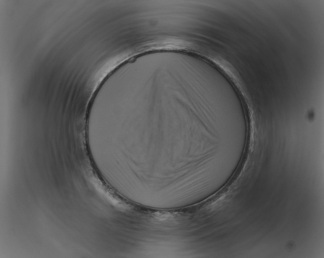 X0000116550850200912311910