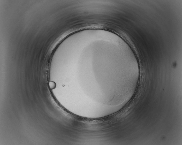 X0000116550851200912311910