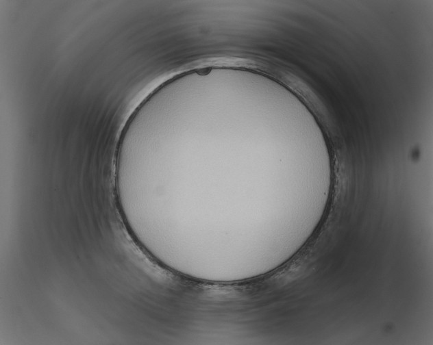 X0000116550852200912311910