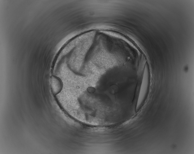 X0000116550853200912311910