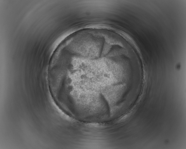 X0000116550855200912311910