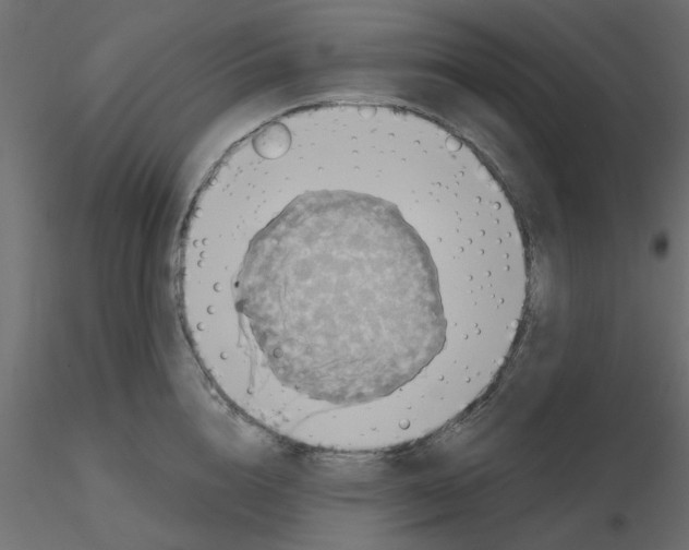 X0000116550856200912311910