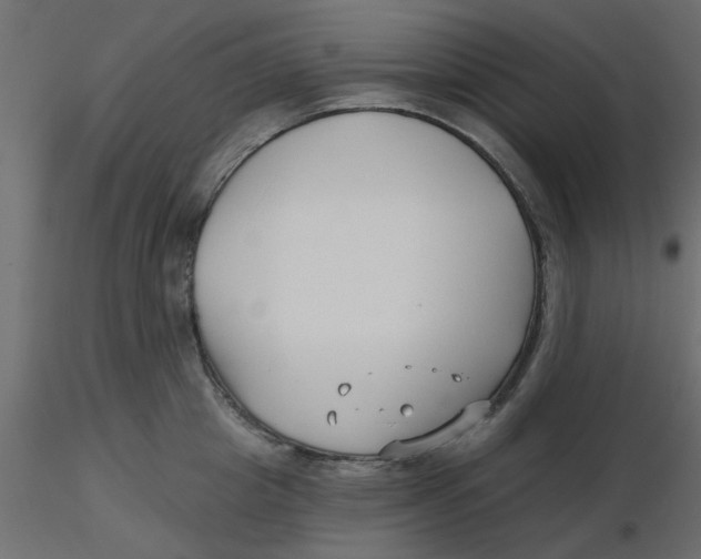 X0000116550857200912311910