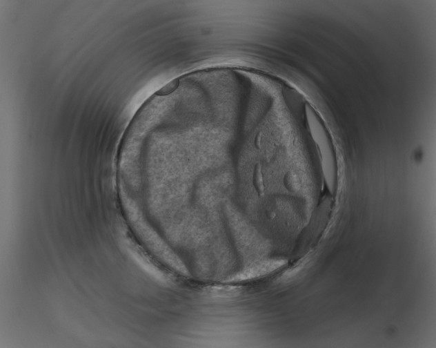 X0000116550858200912311910